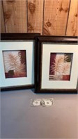 Pair of framed fern pictures