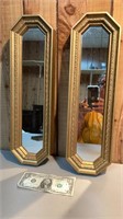 Pair of framed long mirrors