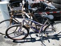 Two project bikes - IRONMAN & ROYAL SCOT