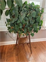 Plant Stand w/Plant