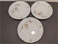 Lourioux France Porcelain Plates (3)