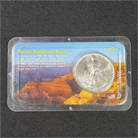 1993 American Silver Eagle