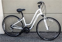 TREK CRUISING BIKE