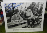 Autographed Photo Actress, Adrian Booth (Brian)