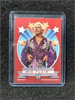 RARE WWE Ric Flair "9 of 9" Magnet wrestling card