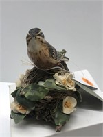 '81 Water Pipit Barbara Kuhlman w/ nest of grass