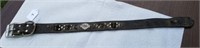 Harley Davidson Dog Collar, large, worn