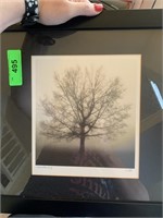 FRAMED SIGNED PHOTOGRAPH "AWAKENING"