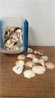 Container of shells