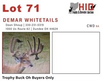 Trophy Buck Oh Buyers Only