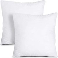 Throw Pillows Insert (Pack of 2, White)