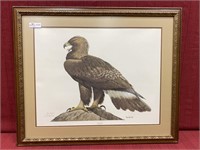 Framed Golden Eagle by Ray Harm artist signed