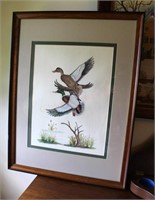 Framed Mallard by Rebecca G. Willis