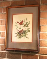 Framed Cardinal Print