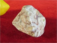 Polished Crazy Lace Agate- Mexico