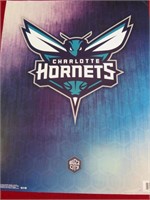 Charlotte Hornets Poster 20x16"