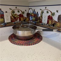 Farberware Millennium Cooking Pot w/ Single