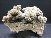 Large Desert Rose Crystal Cluster W/Stand. 15x10