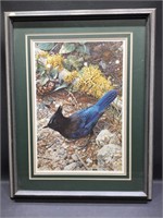 Carl Brenders Signed LE Lithograph. Steller’s Jay