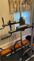 Gold’s Gym chest dip exercise machine