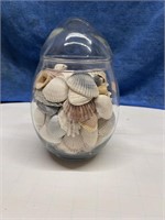 Large Glass Egg Container Filled with Sea Shells