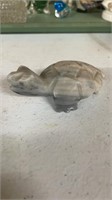 Marble Turtle