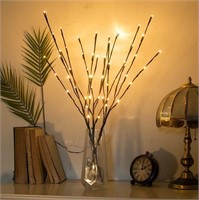Lighted Branches 28IN  Warm White LED