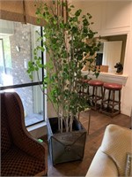 REAL TREE IN HIGH END METAL PLANTER