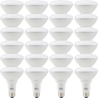 Cree Lighting BR30 65W LED Bulb [12] 2-Packs