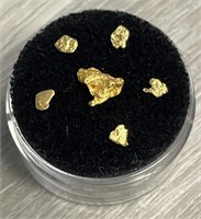 (6) Alaska/Klondike Gold Nuggets w/ Gold Rush Coin