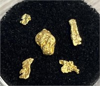 (5) Alaska/Klondike Natural Gold Nuggets w/ Coin