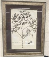 Framed & Matted Botanical Drawing