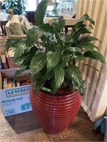 LARGE PEACE LILY IN LARGE RED PLANTER