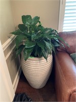 LARGE PLANTER W REAL PLANT