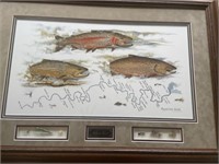 Muskegon River - three fish with flies and