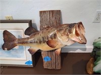 Assorted Outdoor Prints and taxidermy bass