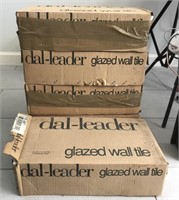 Dal-Leader White Glazed Wall Tile