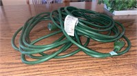 Green polarized cord