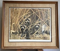 “Raccoon” by Charles Frace’
