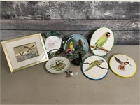 Birds Collection