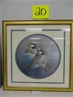 Chickadee Framed Picture by Bruce Taylor