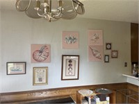 All seashell artwork on kitchen wall