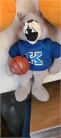 Uk Cat With Basketball