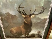 Elk Wildlife Print - "Monarch of the Glen"