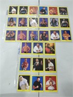 Qty 27 WWF Incl Vince McMahon, Undertaker, and