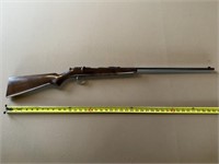 Remington Bolt-Action .22 Cal Rifle