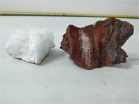 Petrified wood and quart crystal