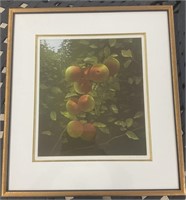 Numbered Framed Fruit Print 21/100