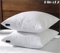 Basic home pillows