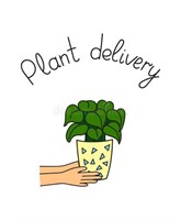 We will be having another plant delivery this sale